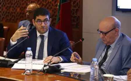 لجنة التعليم والثقافة والاتصال تصادق على مشروع قانون إعادة تنظيم المجلس الوطني للصحافة