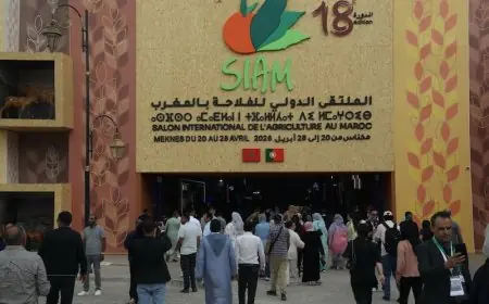 الملتقى الدولي للفلاحة بمكناس يختتم دورته الـ18 بأزيد من 1,13 مليون زائر