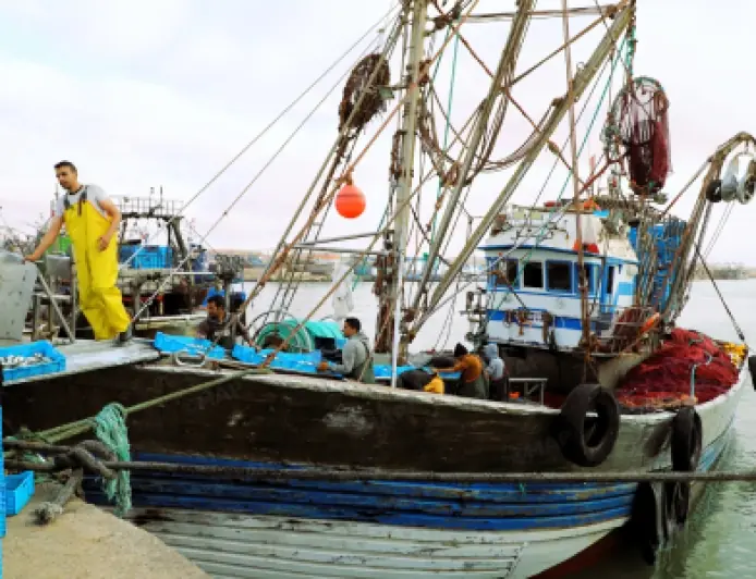 انتعاش ملحوظ في مفرغات السردين بميناء طانطان