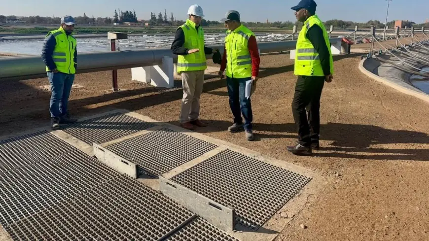 أزمة سيولة تهدد شركات المناولة بجهة البيضاء سطات