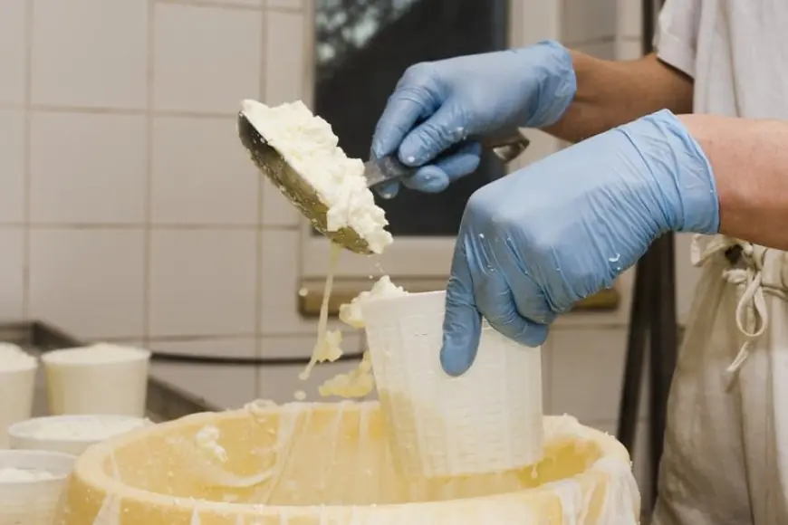 المغرب ضمن أبرز المستفيدين من طفرة صادرات الألبان الأوروبية خلال الربع الأخير من 2025