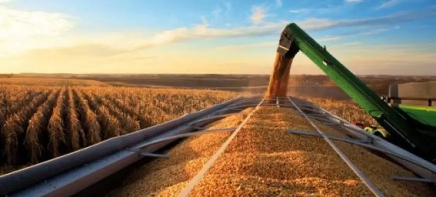 La production céréalière attendue à près de 90 millions de quintaux selon Ahmed El Bouari