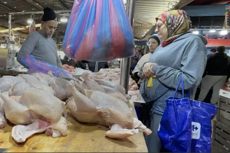 الدواجن والبيض يسيطران على المائدة المغربية.. أرقام قياسية تصل لـ 23,6 كيلوغراماً و191 بيضة في السنة