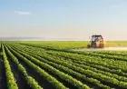 Registre national agricole : le Maroc accélère la fiabilisation des données pour piloter le secteur