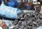 قبل عيد الأضحى.. أسعار الفحم بالمغرب تقفز إلى 20 درهماً للكيلوغرام