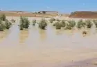 انفجار حوضين لغسيل الفوسفاط بخريبكة يجر انتقادات واسعة على ”OCP” بعد نفوق مواشٍ وإتلاف محاصيل الفلاحين