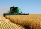 Croissance du Maroc en 2026 : les experts jugent l’objectif de 5,3% crédible grâce à la bonne campagne agricole