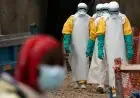 RDC : la souche Bundibugyo d’Ebola responsable de l’épidémie en cours affiche un taux de létalité élevé