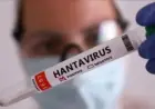 Canada : premier cas confirmé de virus Hanta enregistré ce samedi
