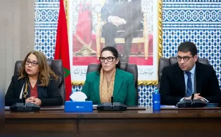 ”البام” يتجه لترشيح الصباري بمراكش والميداوي بالرحامنة ويراهن على المنصوري لرئاسة الحكومة المقبلة