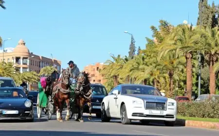 ارتفاع عدد الأثرياء فاحشي الثراء في المغرب بنسبة تفوق 41 في المائة خلال 5 سنوات