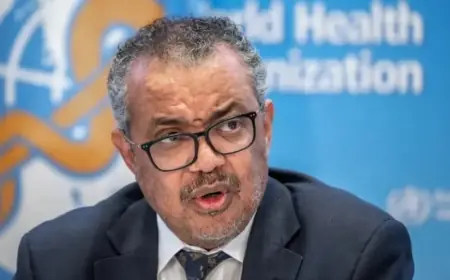 Hantavirus : l’OMS rassure et estime le risque mondial faible pour l’instant