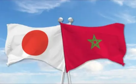 اليابان تعلن دعمها لمخطط الحكم الذاتي في الصحراء المغربية