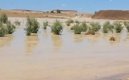 انفجار حوضين للفوسفاط بخريبكة يجر انتقادات واسعة على ”OCP” بعد نفوق مواشٍ وإتلاف محاصيل الفلاحين