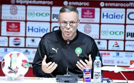 وهبي يحدد موعد الكشف عن لائحة المنتخب المغربي المشاركة في المونديال