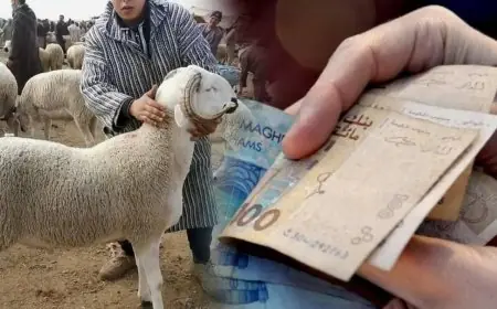 يهم القيمين الدينيين بالمغرب.. صرف دعم مالي بقيمة 500 درهم بمناسبة عيد الأضحى