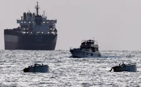 Israël annonce l’expulsion de tous les militants étrangers arrêtés à bord du navire d’aide à Gaza