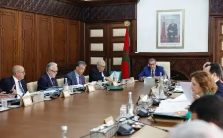 مجلس الحكومة يصادق على لائحة من التعيينات الجديدة في المناصب العليا