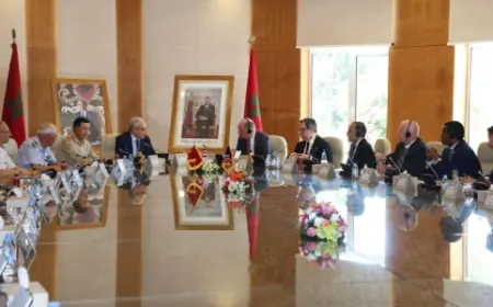 بتعليمات ملكية.. لوديي يستقبل وفداً من الكونغرس الأمريكي بالرباط لبحث تعزيز التعاون العسكري