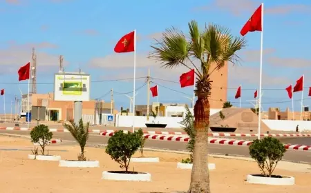 كوت ديفوار تجدد دعمها لمبادرة الحكم الذاتي بالصحراء المغربية