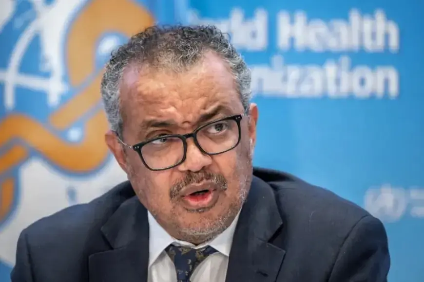 Hantavirus : l’OMS rassure et estime le risque mondial faible pour l’instant
