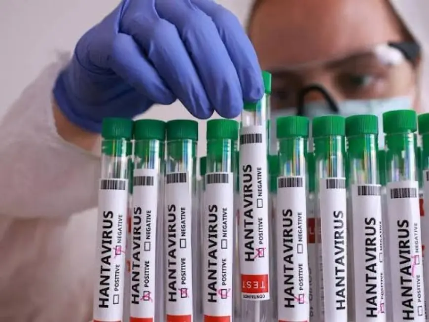 Le Maroc renforce sa vigilance épidémiologique et la surveillance sanitaire aux ports et aéroports suite à des cas de virus Hanta