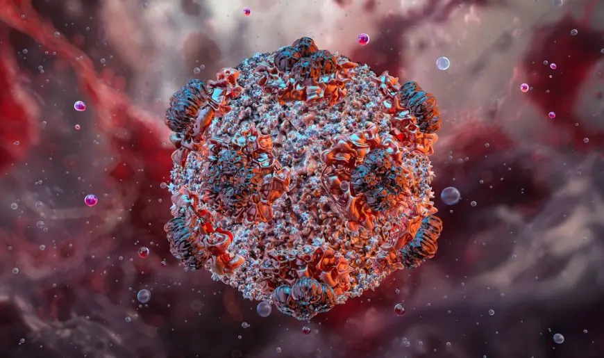 Le Brésil enregistre un premier décès dû au virus Hanta depuis le début de l’année