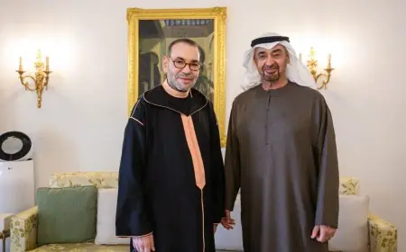 محمد بن زايد يستقبل الملك محمد السادس بمقر إقامته في الرباط