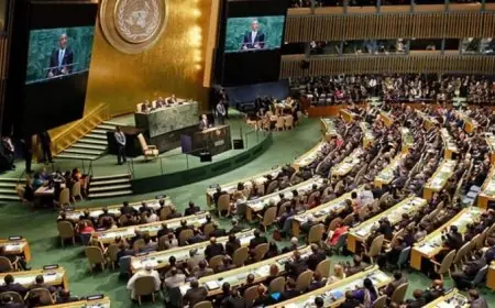 انتخاب المغرب عضوا بالمجلس الاقتصادي والاجتماعي التابع للأمم المتحدة