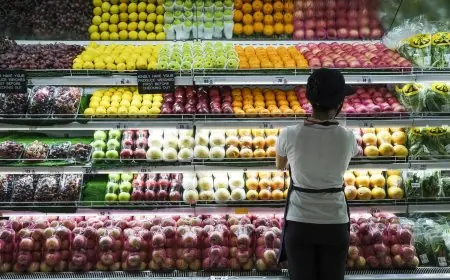 الفاو: تراجع طفيف في أسعار الغذاء العالمية خلال ماي