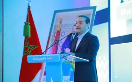 شوكي: المعارضة تعيش أزمة محتوى وتعتمد على التشويش والتضليل