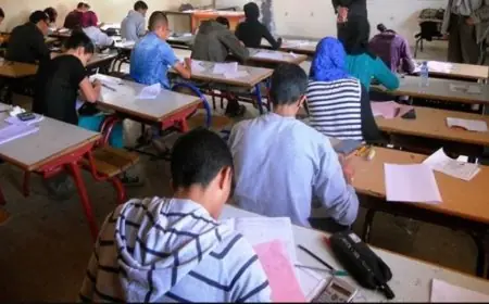 امتحان جهوي للغة الفرنسية ورد فيه ”المرأة خلقت فقط من أجل الزواج وإنجاب الأطفال” يصل إلى البرلمان