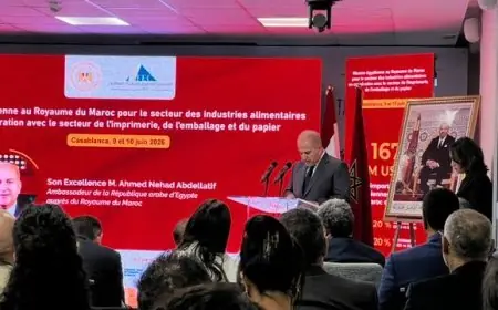 Mission économique égyptienne à Casablanca: 33 entreprises prospectent le marché marocain de l’agroalimentaire et du packaging