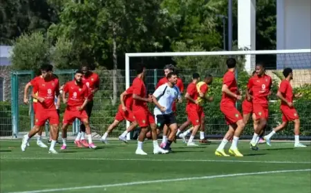 الزلزولي ومزراوي وصلاح الدين يغيبون عن تداريب المنتخب المغربي لمواجهة البرازيل