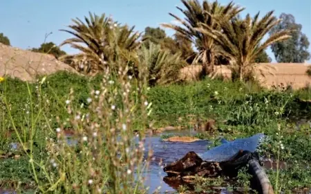 توقعات أحوال الطقس اليوم الجمعة بالمغرب