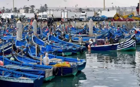 مفرغات الصيد بميناء طنجة ترتفع بـ 66% مقابل تراجع بـ 18% على الصعيد الوطني مع متم ماي 2026
