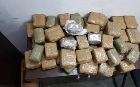الأمن والجمارك يحبطان محاولة تهريب 753 كيلوغراما من مخدر الشيرا بميناء طنجة المتوسط