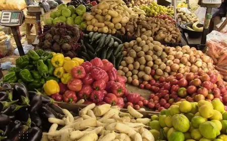 انخفاض طفيف في أسعار الخضر بالمغرب