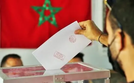 الحكومة تخصص 50 مليون درهم لدعم لوائح الشباب في الانتخابات التشريعية المقبلة