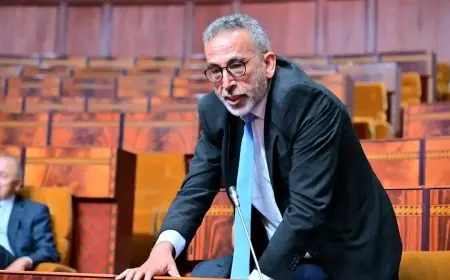 البرلماني غازي يسائل وزيرة التضامن حول ترحيل ضحايا الهشاشة الاجتماعية بين المدن