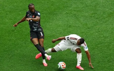 قطر تغادر كأس العالم بعد الخسارة أمام البوسنة والهرسك