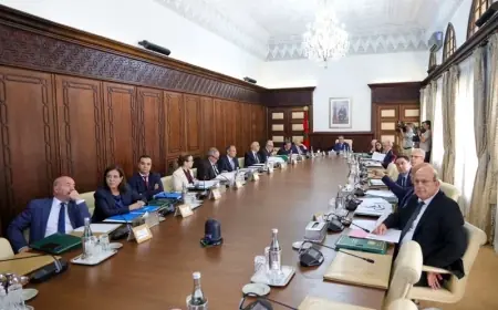 مجلس الحكومة يطلع على اتفاق مغربي مصري لتجنب الازدواج الضريبي ومنع التهرب الضريبي