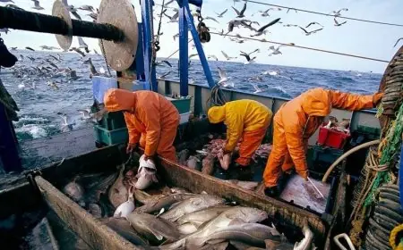 Produits de la mer : Le Maroc 3e fournisseur de l’UE en avril 2026