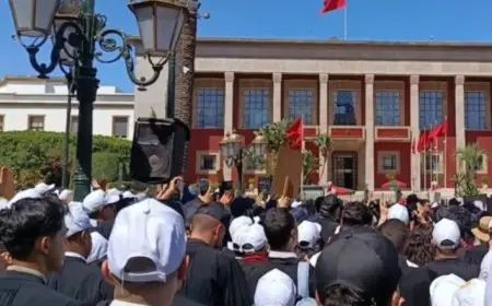 المحامون يحتجون أمام البرلمان ضد القانون الجديد للمهنة