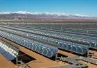 Maroc - Allemagne : Vers des exportations d’électricité verte et d’hydrogène vers l’Europe