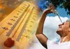 vague de chaleur extrême jusqu’à samedi, 47°C attendus dans plusieurs régions