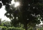 توقعات أحوال الطقس اليوم الأحد بالمغرب