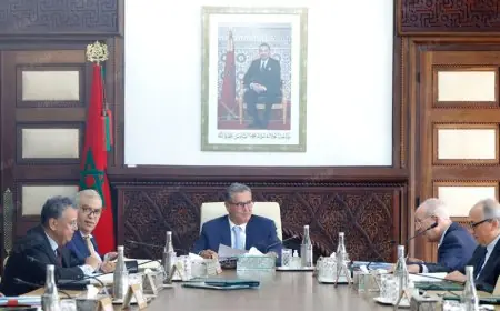 مجلس الحكومة يطلع على اتفاق جمركي بين المغرب ومصر