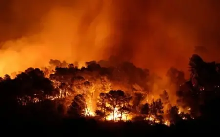 Incendies en Andalousie : au moins 11 morts et 19 disparus près d’Almería