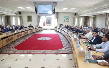 وزير الداخلية يعقد اجتماعين مع الأحزاب استعدادا لانتخاب أعضاء مجلس النواب